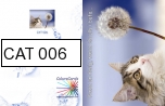 CAT 006